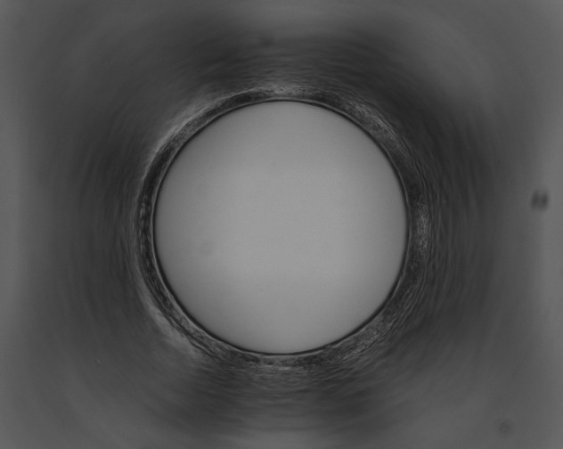 X0000091180730200708301216