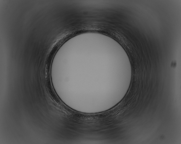 X0000091180731200708301216