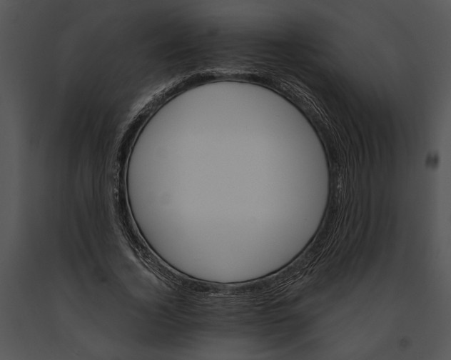 X0000091180732200708301216