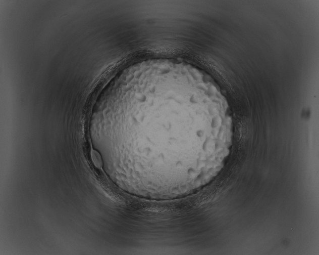 X0000091180733200708301216