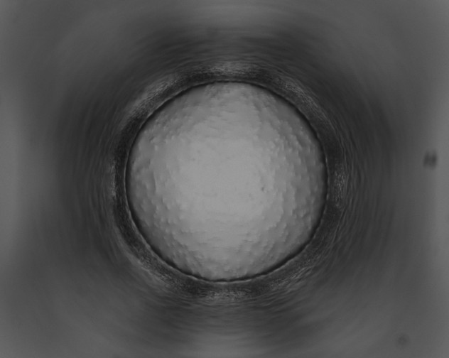X0000091180734200708301216