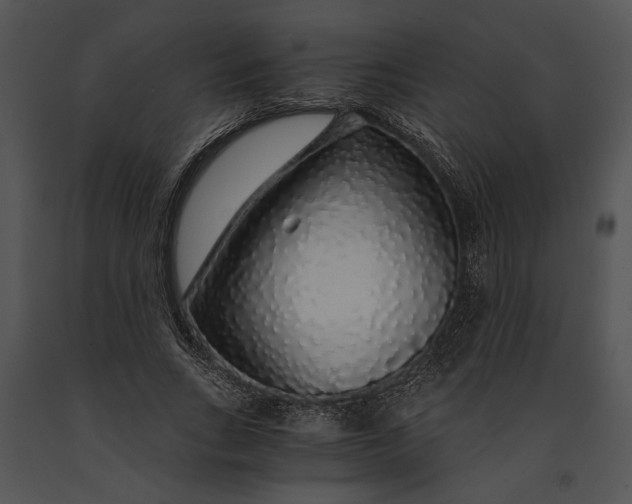 X0000091180735200708301216