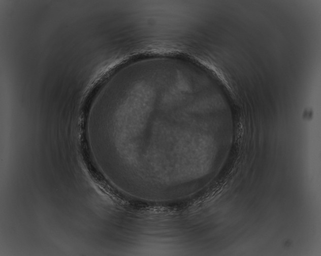 X0000091180736200708301216