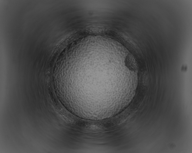 X0000091180737200708301216