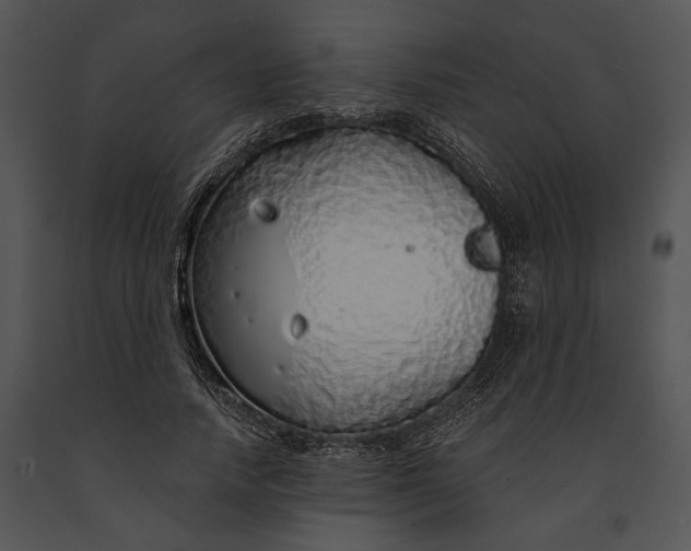 X0000091180738200708301216