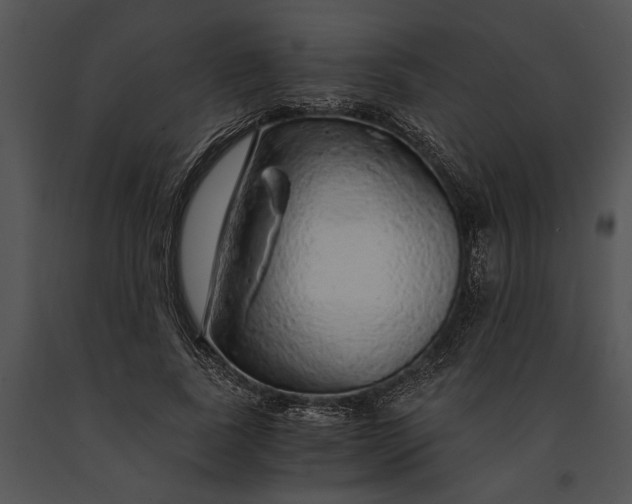 X0000091180739200708301216