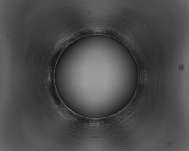 X0000091180740200708301216