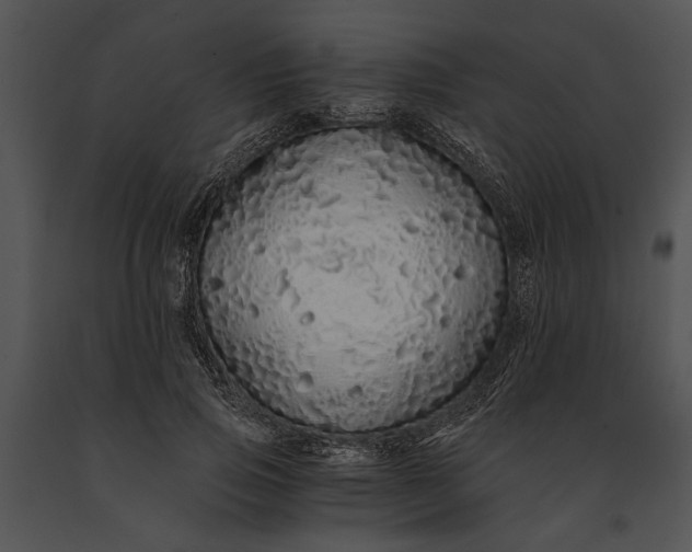 X0000091180741200708301216