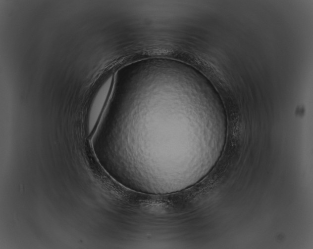 X0000091180743200708301216