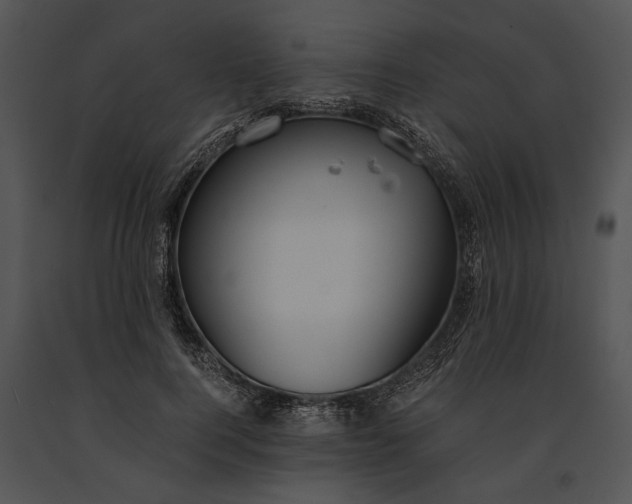 X0000091180744200708301216