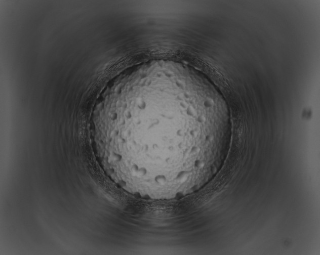 X0000091180745200708301216