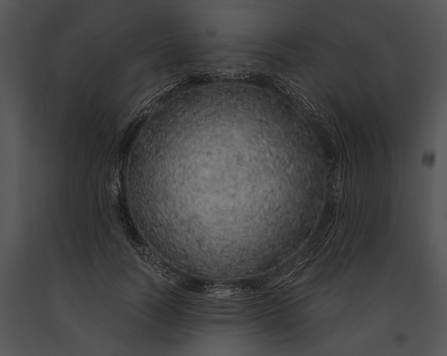 X0000091180746200708301216