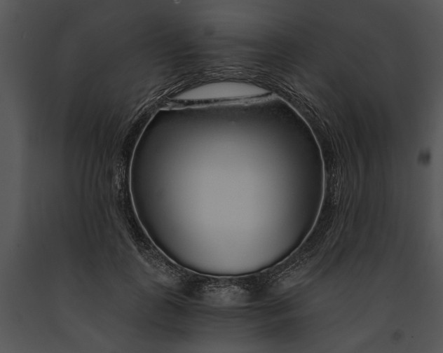 X0000091180747200708301216
