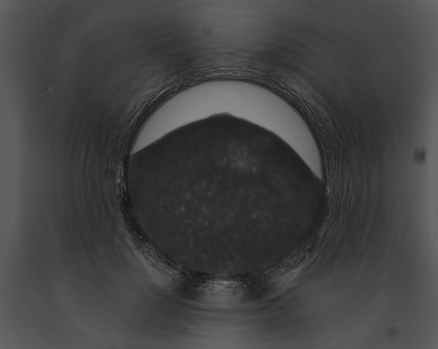 X0000091180748200708301216