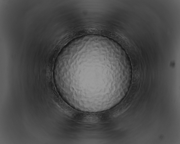 X0000091180749200708301216