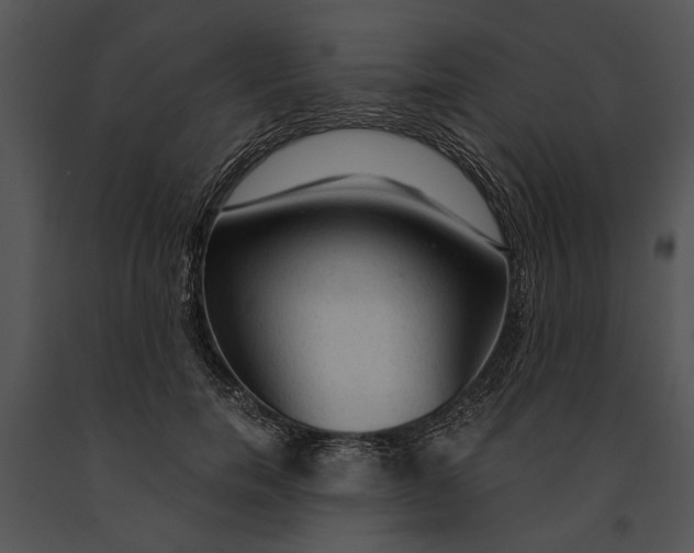 X0000091180750200708301216