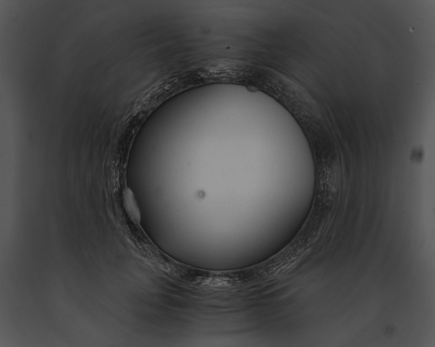 X0000091180751200708301216