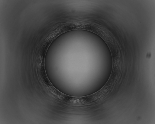 X0000091180752200708301216