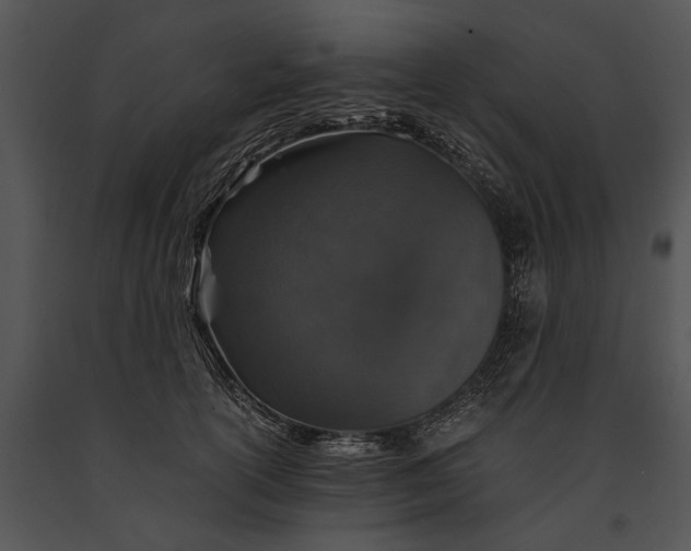 X0000091180754200708301216