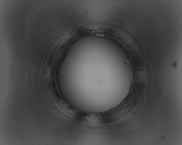 X0000091180756200708301216