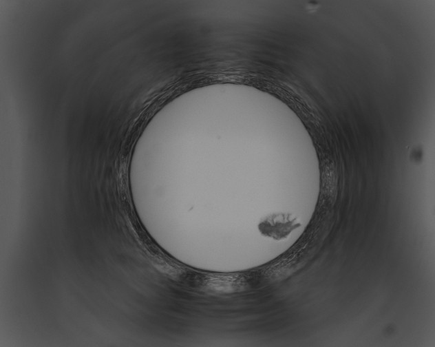 X0000091180757200708301216