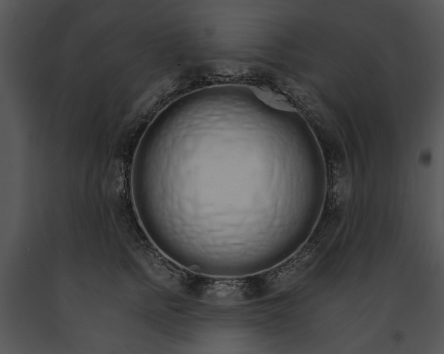 X0000091180758200708301216