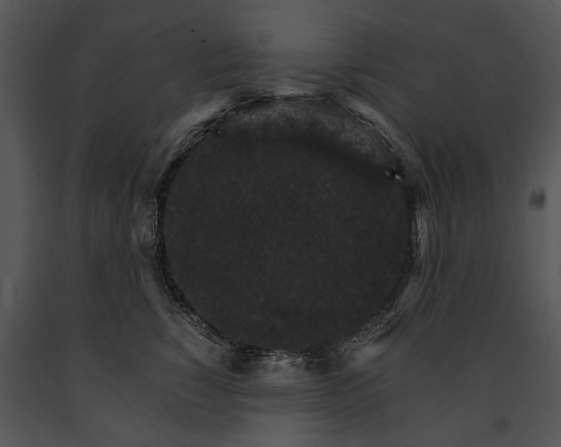 X0000091180760200708301216