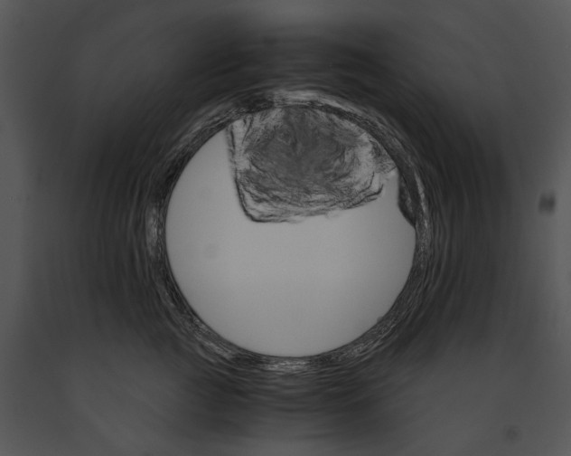 X0000091180761200708301216