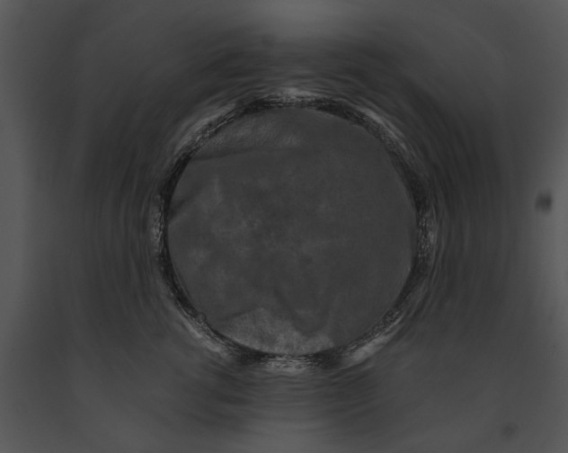 X0000091180762200708301216