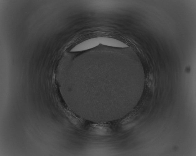 X0000091180763200708301216
