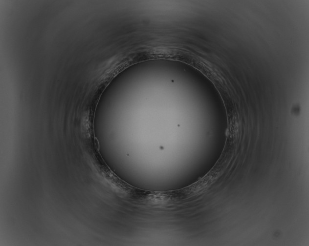 X0000091180764200708301216