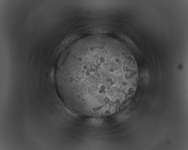 X0000091180765200708301216