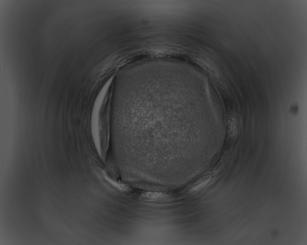 X0000091180766200708301216