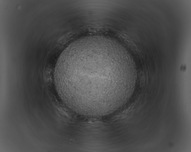 X0000091180770200708301216