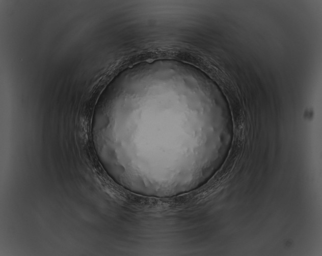 X0000091180772200708301216