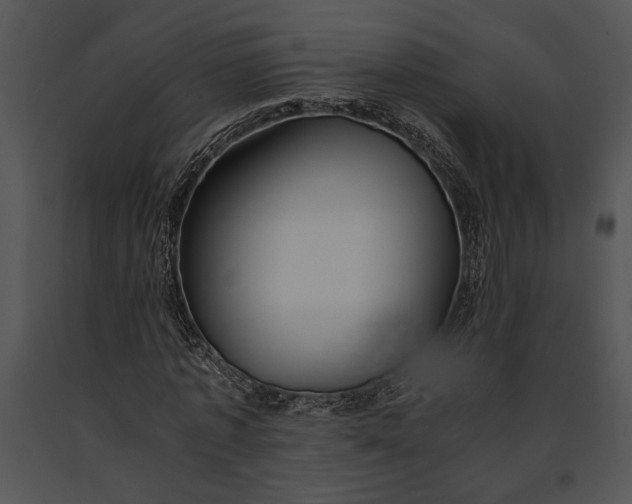 X0000091180773200708301216