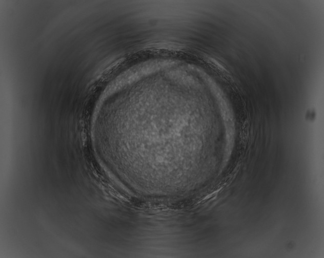 X0000091180774200708301216