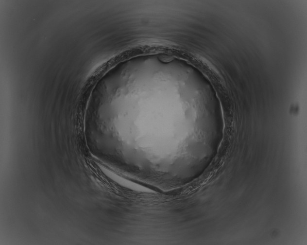 X0000091180775200708301216