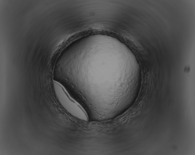 X0000091180776200708301216