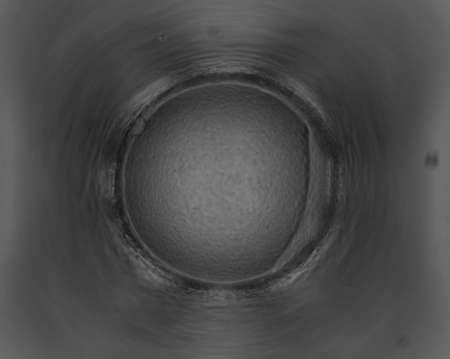 X0000091180777200708301216