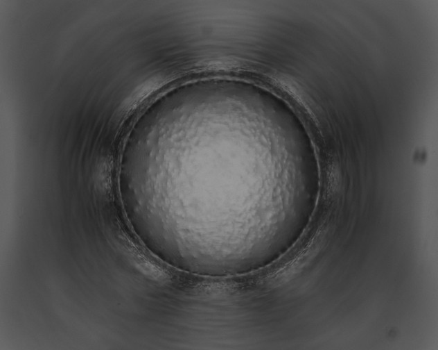 X0000091180778200708301216