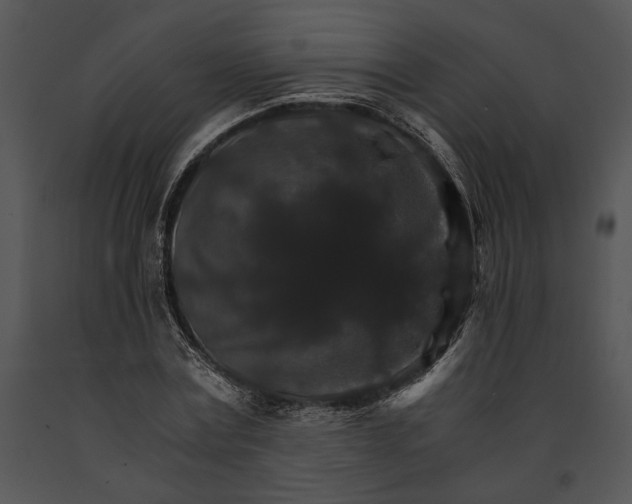 X0000091180779200708301216