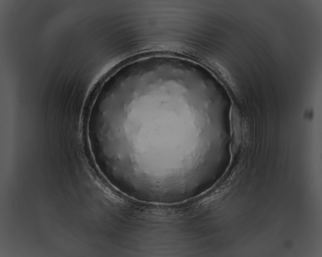 X0000091180780200708301215