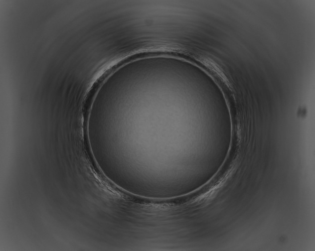 X0000091180781200708301215