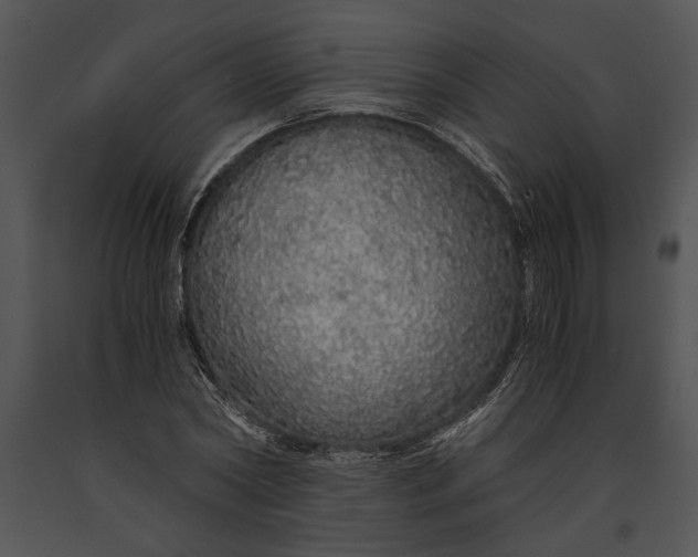 X0000091180782200708301215