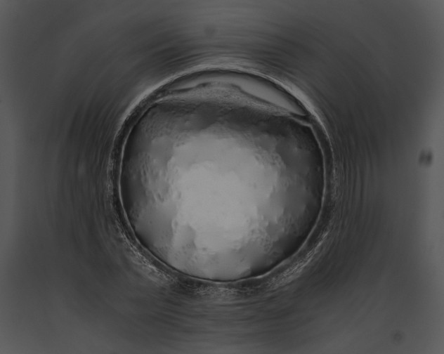 X0000091180783200708301215