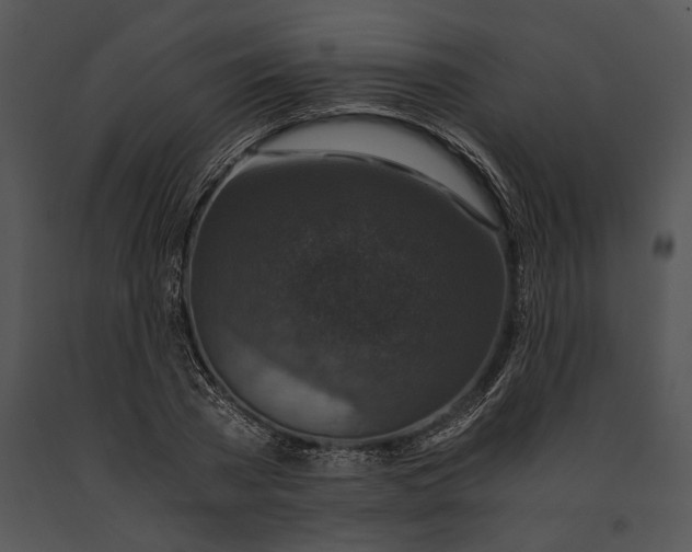 X0000091180785200708301215