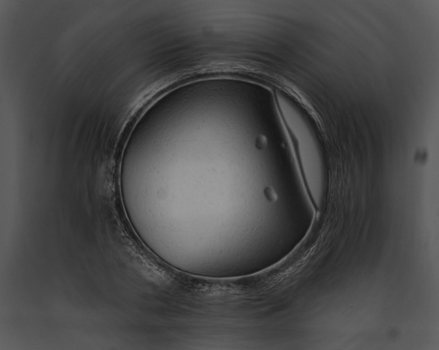 X0000091180786200708301215