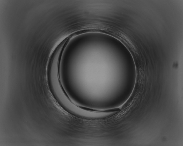 X0000091180788200708301215