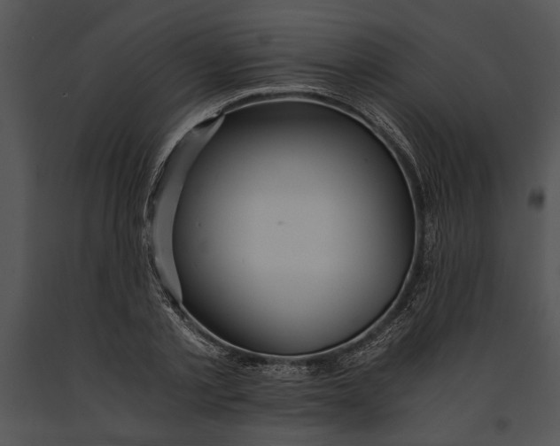 X0000091180789200708301215